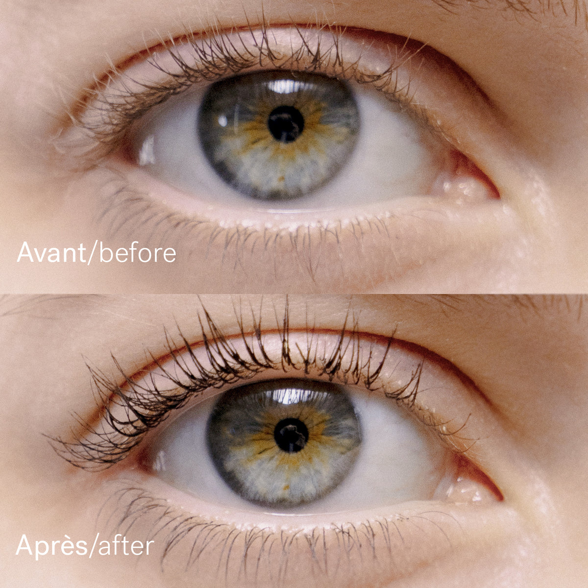 Serum Mascara 1% Pea Peptides + Castor Oil — Typology