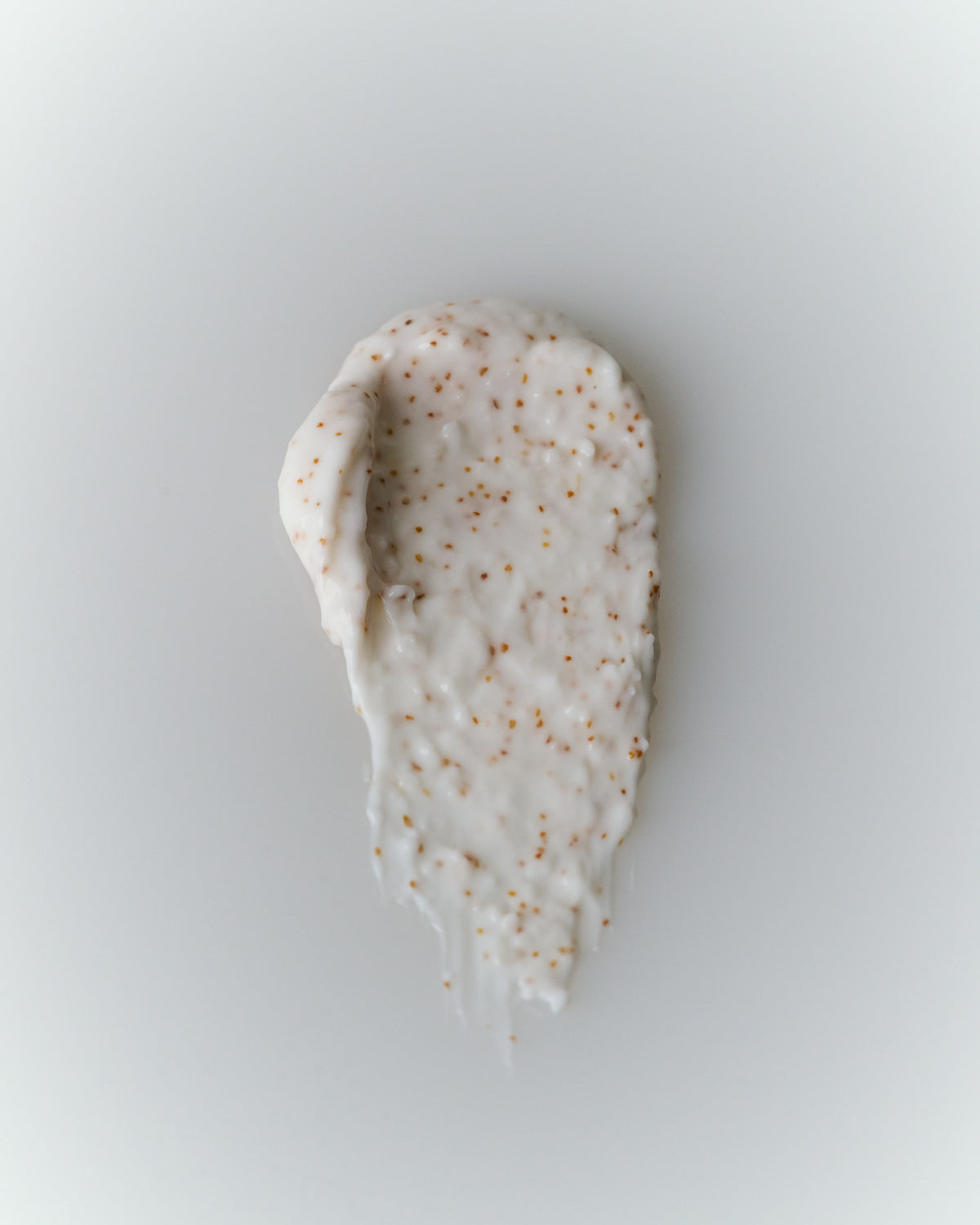 Nourishing Body Scrub Sweet Almond Oil + Shea Butter — Typology