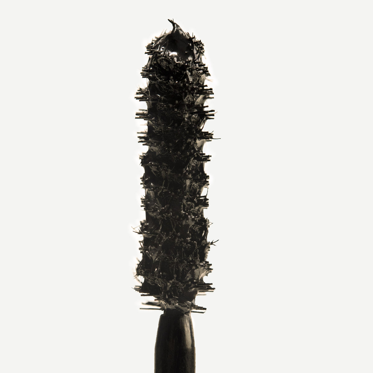 Tinted Face & Lash Trio